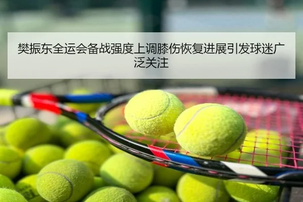 樊振东全运会备战强度上调膝伤恢复进展引发球迷广泛关注